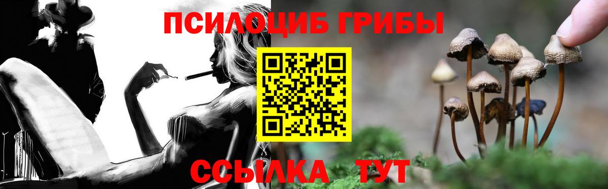 Галлюциногенные грибы прущие грибы Туймазы