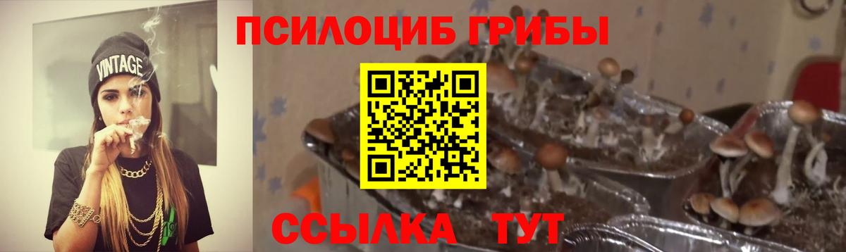 Псилоцибиновые грибы Psilocybe  Вход с VPN  Туймазы 